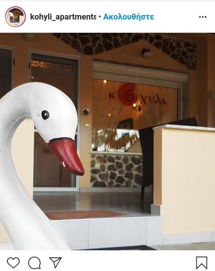 Kohyli Apartments Skala Rachoni  Esterno foto